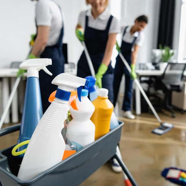 Agnes | Domestic Cleaning Service | Blackpool