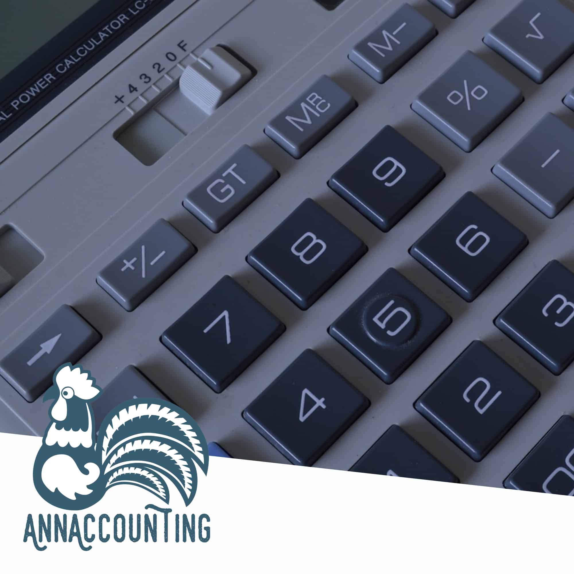 Profesjonalne Usługi Księgowe Leeds/ Normanton | Księgowa UK – Ann Accounting