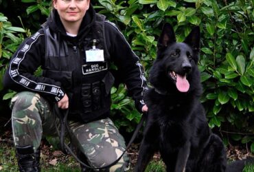 Prywatne: Brylant K9 Security Services Ltd | Security support services
