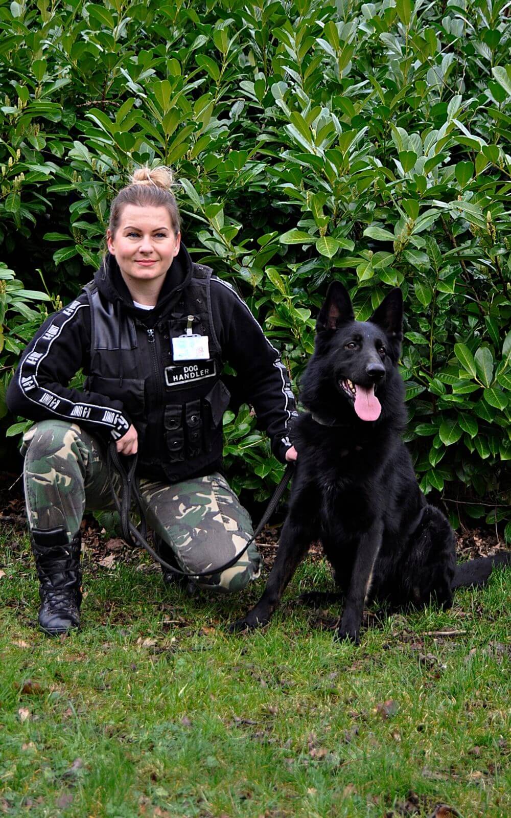 Prywatne: Brylant K9 Security Services Ltd | Security support services